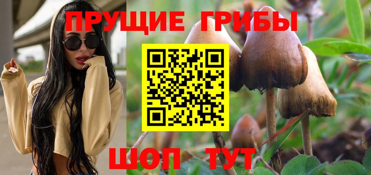Клинцы  Галлюциногенные грибы мухоморы  Вход с VPN 