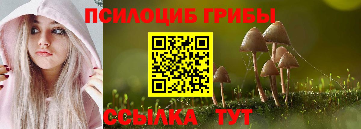 Псилоцибиновые грибы мухоморы Клинцы
